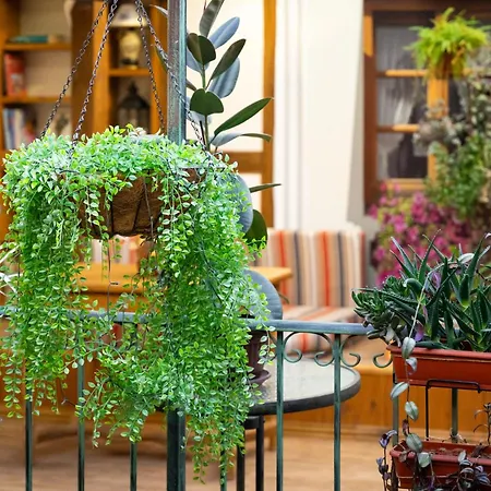 בית הארחה Diabora-veliko Tarnovo 3*