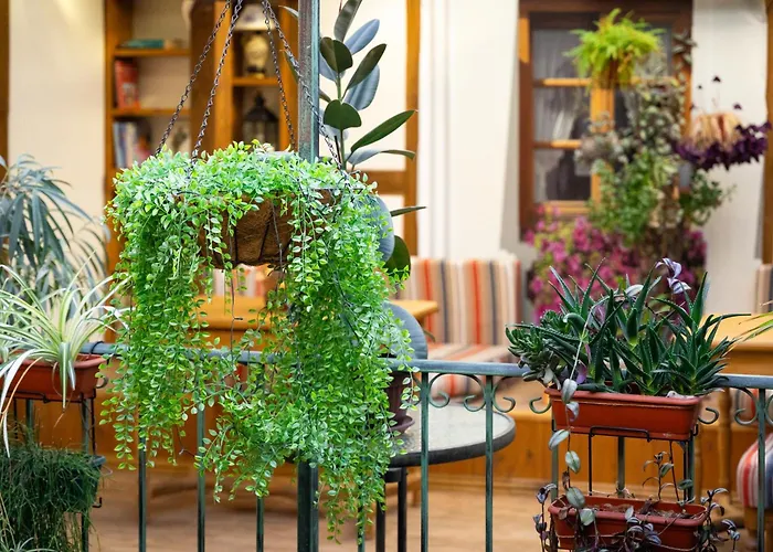 Guest house Diabora-veliko Tarnovo 3*